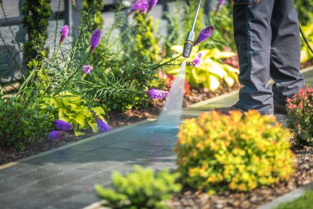 Best Machinery and Equipment Cleaning  in Potomac Mills, VA